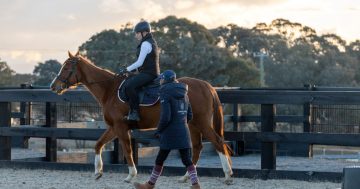The best horse riding schools and equestrian centres in Canberra