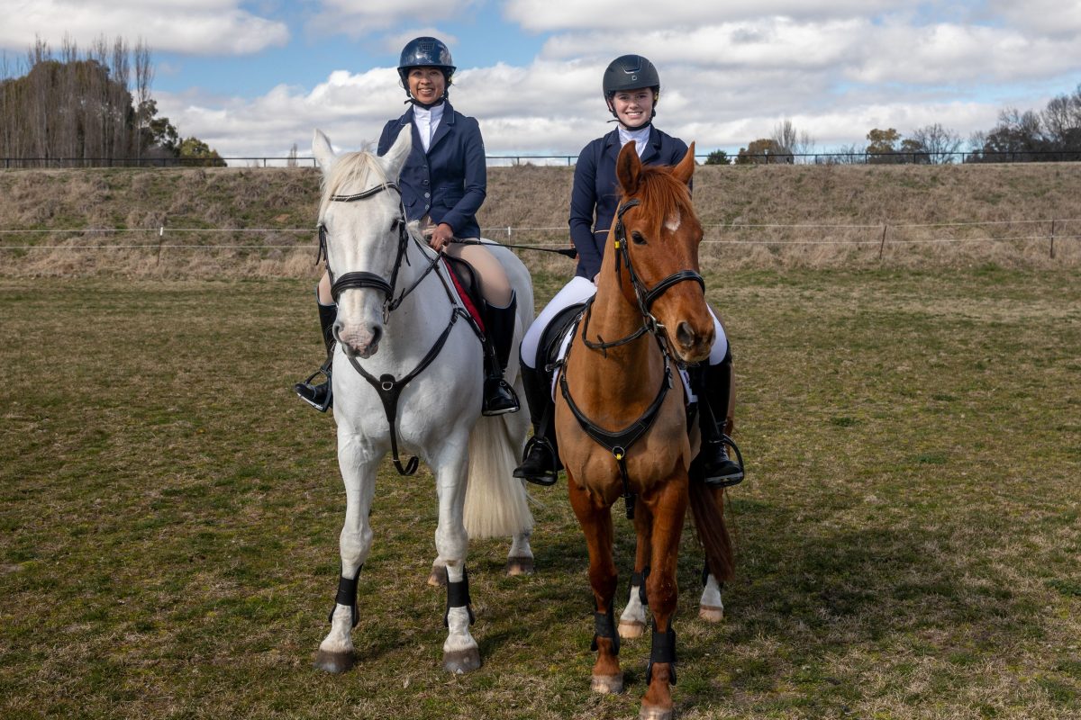 two horses with their riders