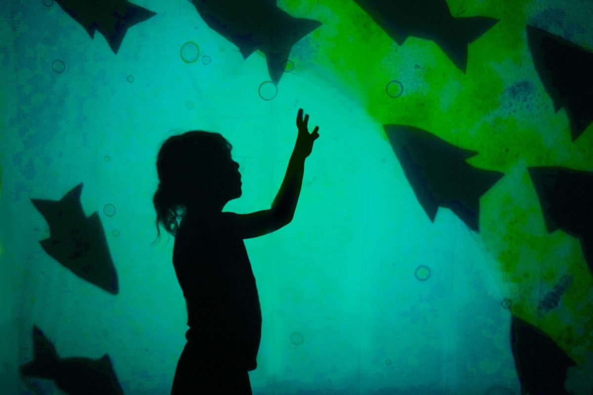 Kids Shadow Puppetry Workshop for kids