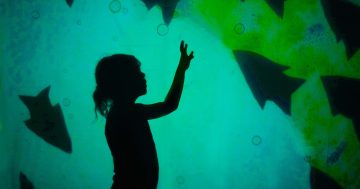 Things to do in Canberra this week (22 -28 August)