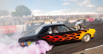 Things to do in Canberra this week (9 - 15 January)