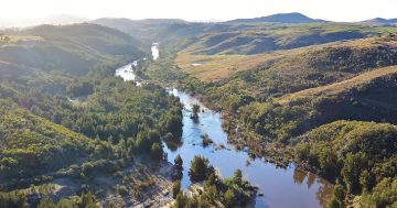 Conservation Council launches campaign to preserve Western Edge