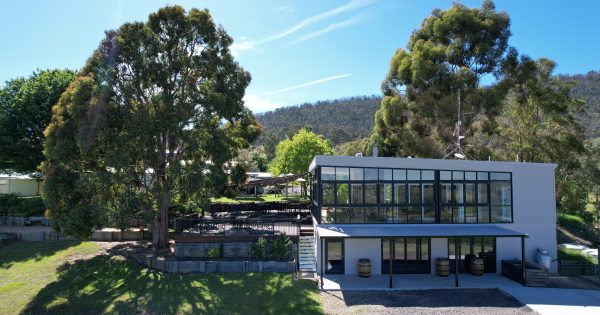 Tumbarumba's Courabyra Wines overcomes fire, plague and flood to expand