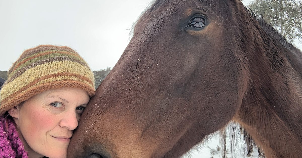 Horses lead the way to healing in the Snowy Mountains | Region Canberra