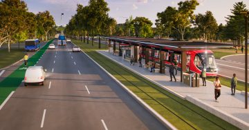 Submission offers alternative light rail route to save trees, heritage values