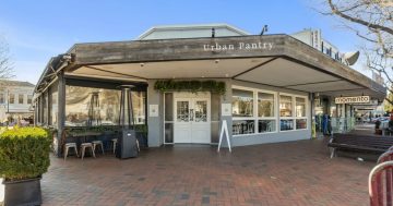 A once-in-a-lifetime opportunity: Iconic Manuka site hits the market