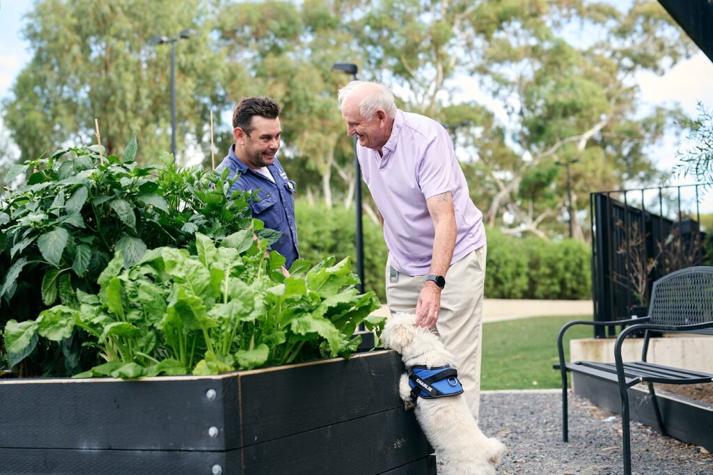 two people standing next to a vegetable garden bed with a dog