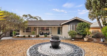 Auction results 15 - 21 September 2025