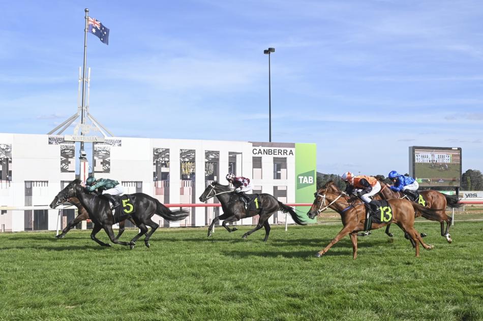 photo of horses at thoroughbred park