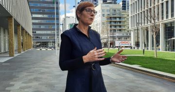 Number of Canberra GP clinics bulk billing increases but it's still not 'anything to brag about'