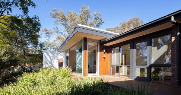 Modernist Fraser garden block does everything right