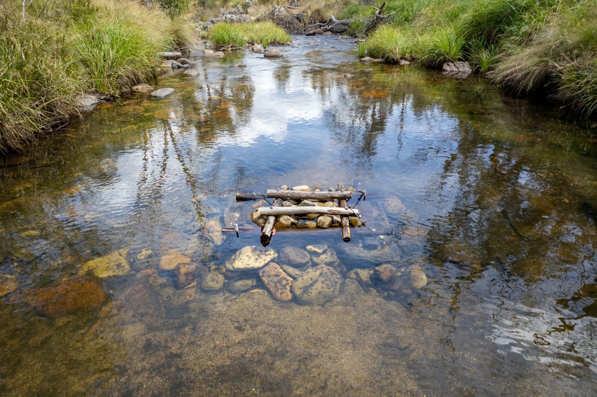 Fish hotel