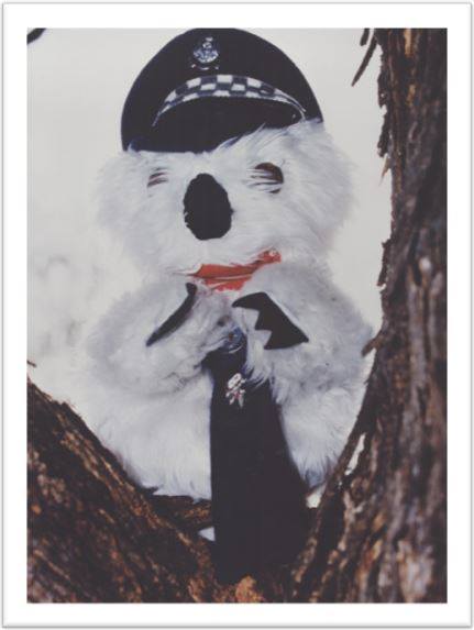 Kenny Koala