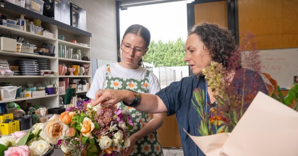 It's bloomin' marvellous: how CIT's new courses deliver 'real skills, real fast'