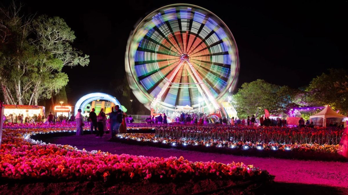 nightfest 2025 