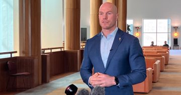 Pocock to launch voluntary lobbyist register for sponsoring MPs