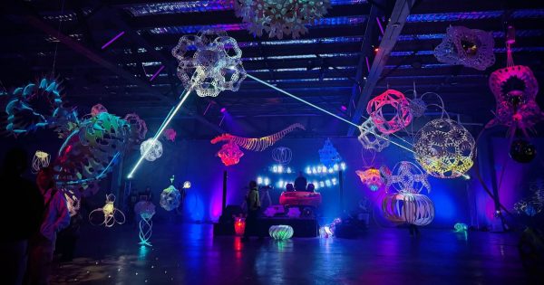 The unlikely Kmart product that sparked this Canberran's art career