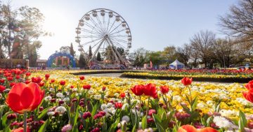 Everything you need to know about getting to Floriade this year