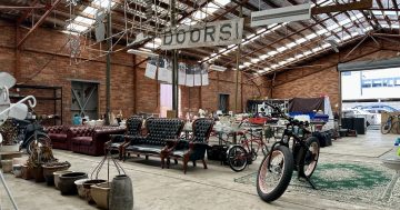 WATCH: Exploring 'The Shed' - Canberra's newest second-hand store