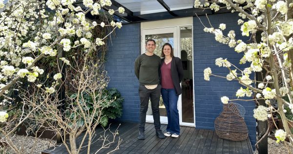 Neighbours always wanted to peek inside this Latham garden - now they can