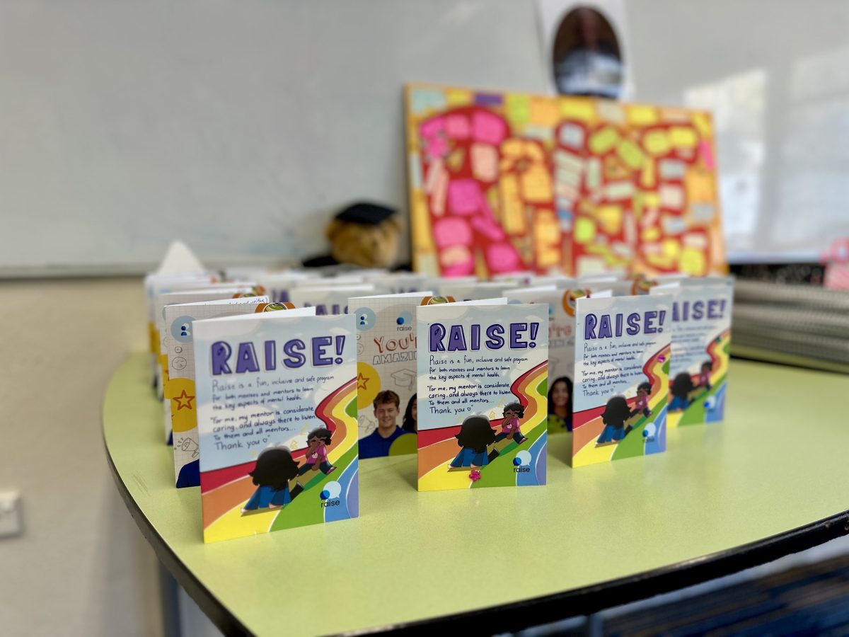 Raise mentoring program