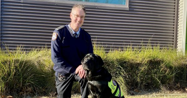 Meet the dogs loitering with intent for the benefit of our frontline responders