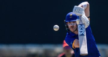 How the opportunity drought is draining talent from the ACT