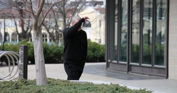 'Plainly obvious' Old Canberra Inn's knife-point robber was Andrew Whitfield, judge says