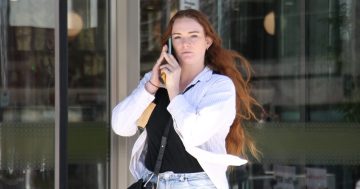 Woman found guilty of stomping on pitbull and saying, 'That's what you get'