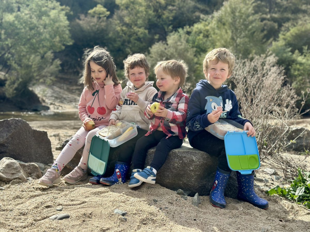 Children eating a picnic lunch outside