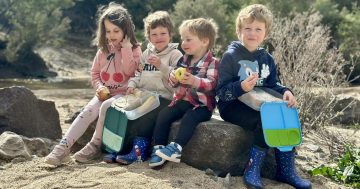 ACT children's lagging physical health and wellbeing fuels calls for Early Childhood Nutrition Hub
