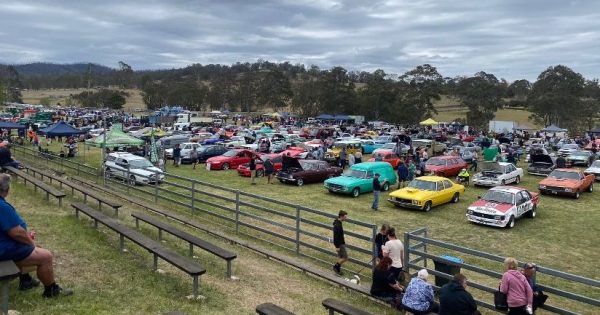 Motor on to Classics at Cobargo to see vintage cars and trucks, plus preserved machinery and bikes