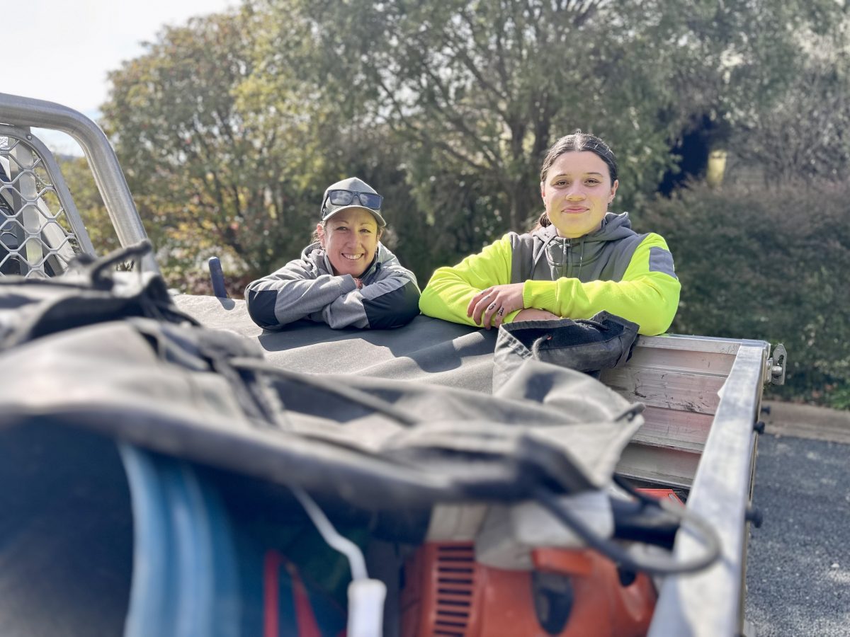 Landscapers