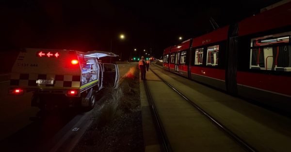 Pedestrian dies after being struck by light rail vehicle