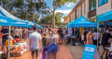 Australians are losing hope in the future - and Canberrans aren't exempt