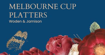 Melbourne Cup Platters | Woden & Jamison