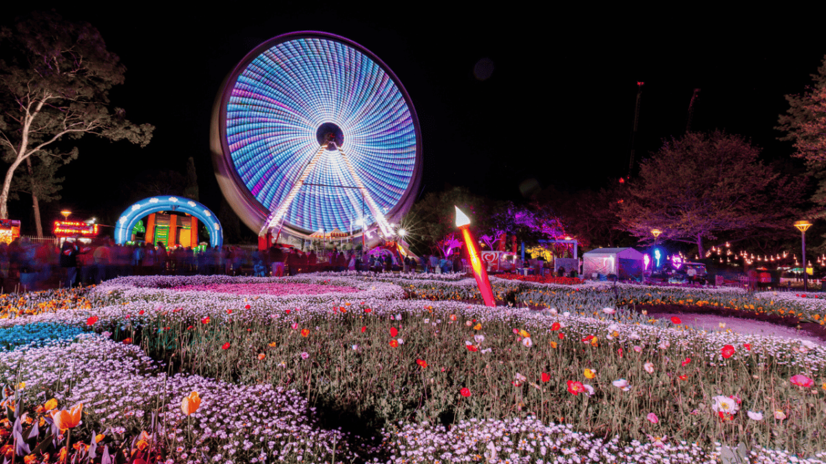 floriade nightfest