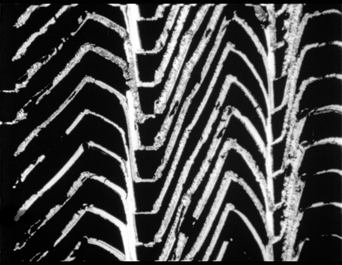 Abstracted white design on a black background