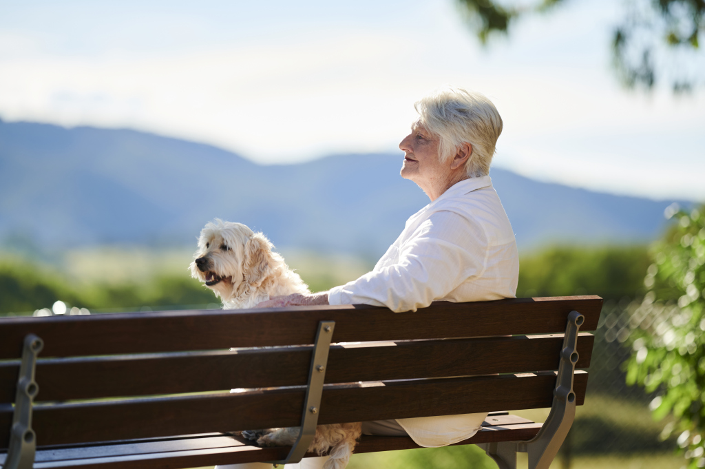 a person sitting on a park bench next to a dog