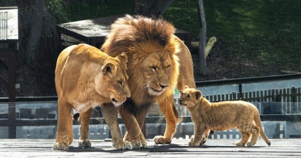 Things to do in Canberra this week (26 September - 2 October)