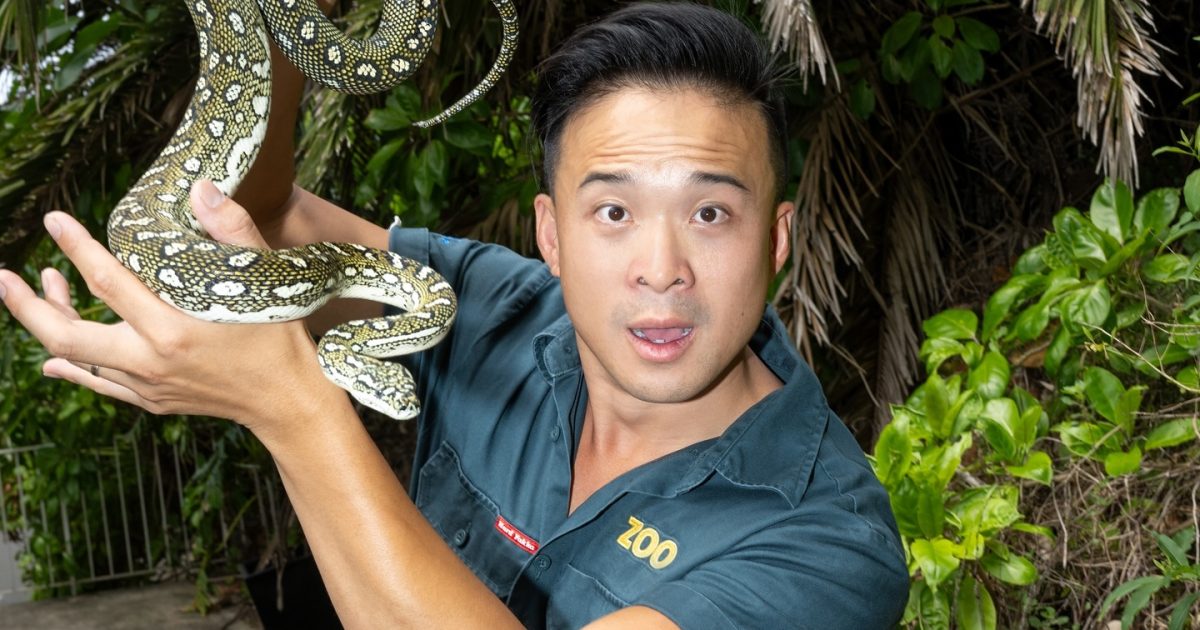 Actor/dancer/zookeeper! ‘Triple-threat’ Tran brings Trent Dalton’s Love Stories to Canberra | Region Canberra