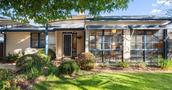 Auction results 20 - 26 October 2025