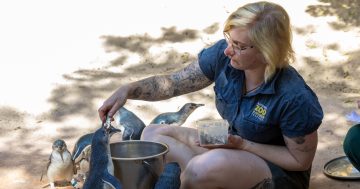 More than poop and hugs: see what it takes to be a zookeeper