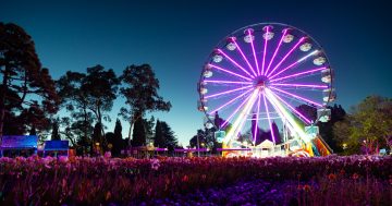 Unbe-leaf-able! Half-a-million stopped to smell the flowers for Floriade's biggest year ever