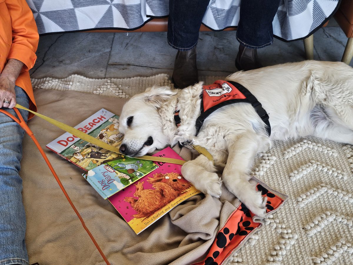 A golden Labrador lays down snoozing on a pile of dog-themed books.
