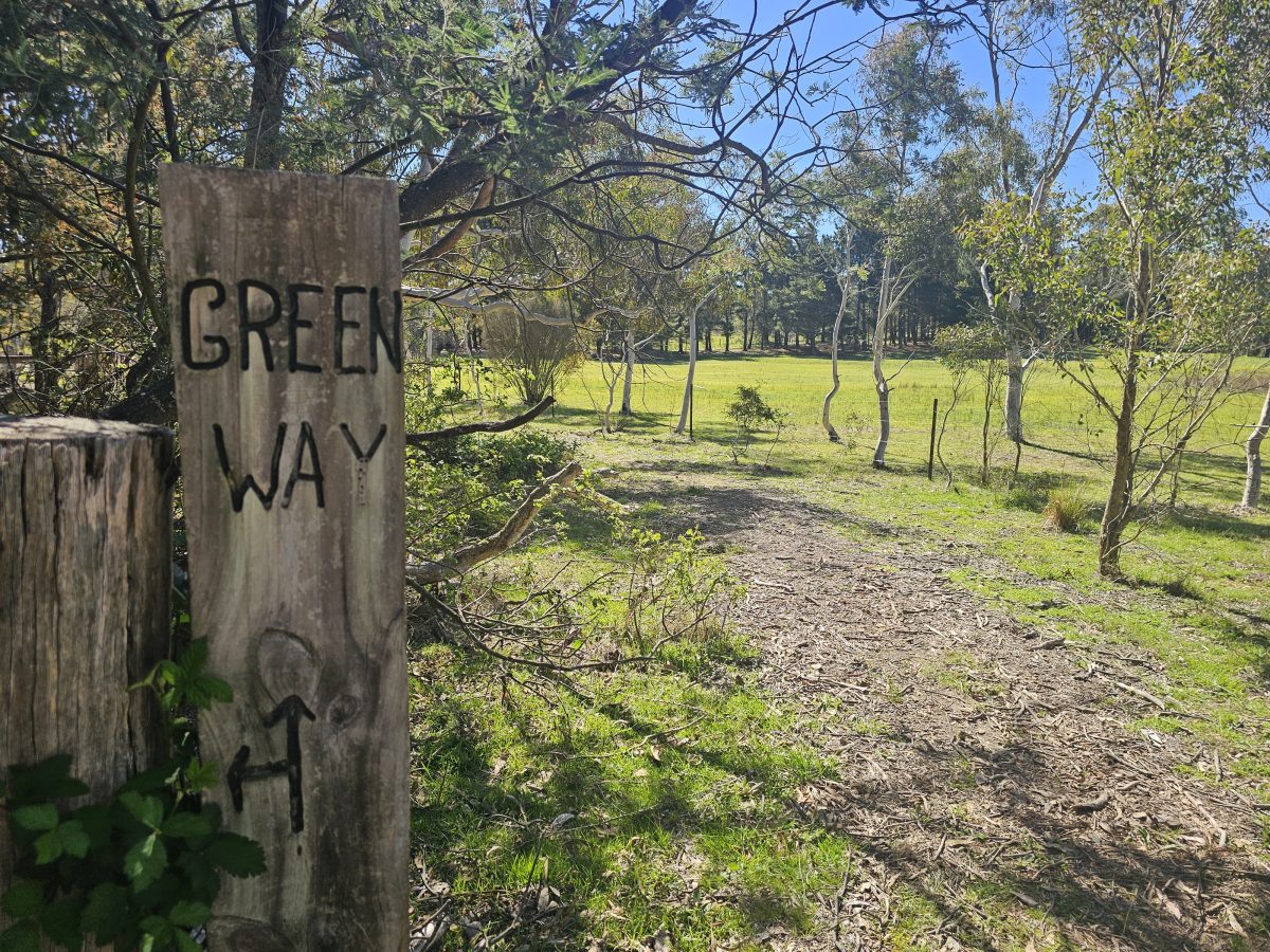 Greenway trails