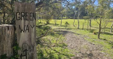 Bywong and Wamboin Greenway trails connect community and boost biodiversity