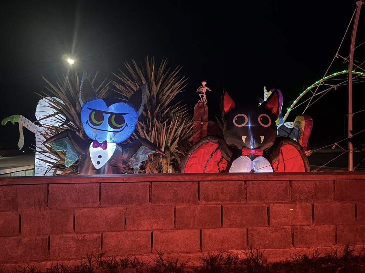 Halloween decorations