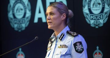 AFP turning to AI to fight 'new and disturbing front' in sadistic 'crimefluencers'
