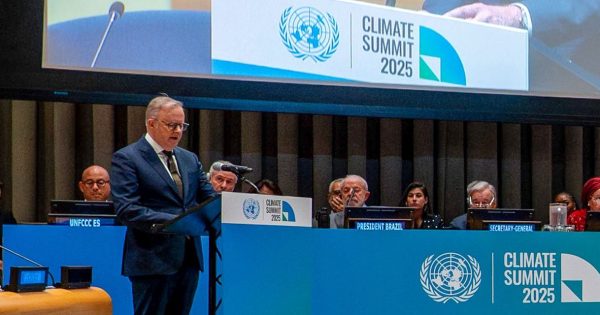 Albanese thinks time is on his side. It isn't.